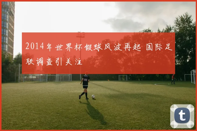 2014年世界杯假球风波再起 国际足联调查引关注
