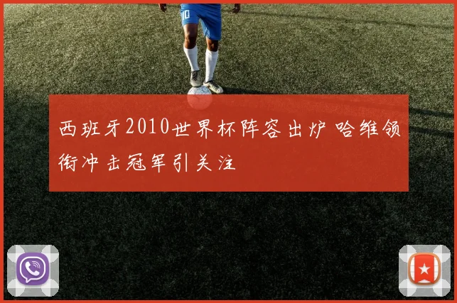 西班牙2010世界杯阵容出炉 哈维领衔冲击冠军引关注