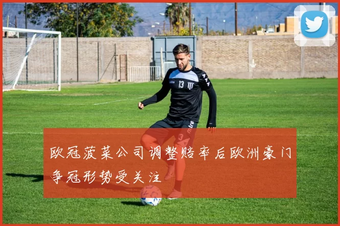 欧冠菠菜公司调整赔率后欧洲豪门争冠形势受关注