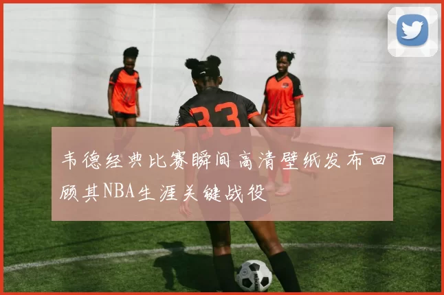 韦德经典比赛瞬间高清壁纸发布回顾其NBA生涯关键战役